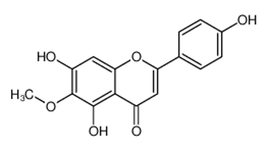 Picture of hispidulin
