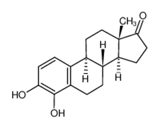 Изображение 4-hydroxyestrone