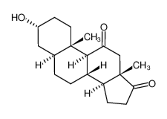 Picture of 11-Oxo Androsterone