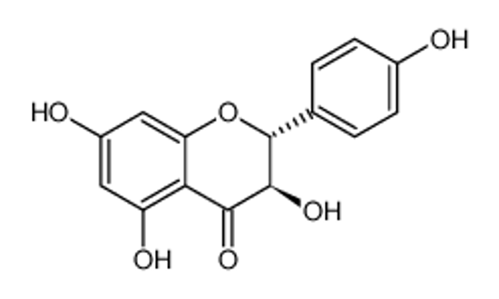 Picture of (+)-dihydrokaempferol