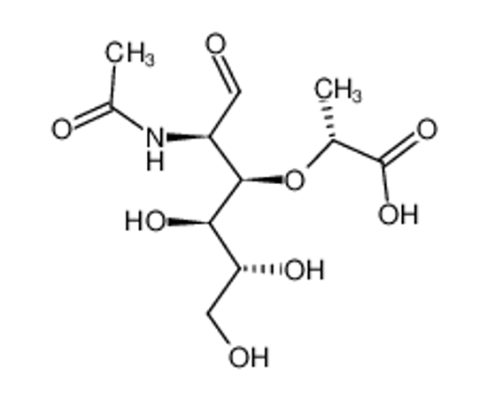Picture of aldehydo-N-acetylmuramic acid