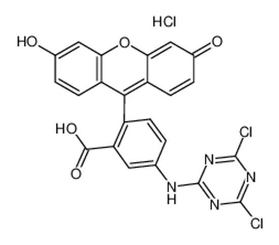 Picture of 5-(4,6-Dichlorotriazinyl)aminofluorescein,5-DTAF