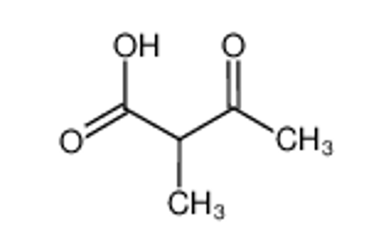 Изображение 2-methylacetoacetic acid