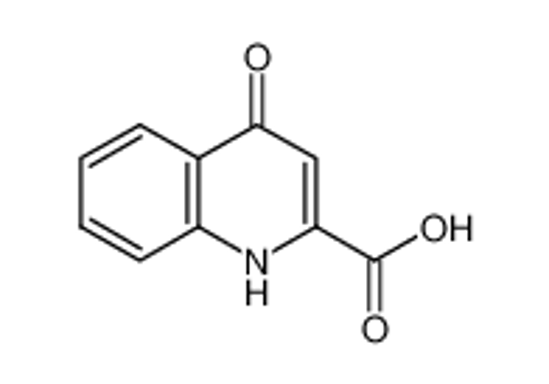 Picture of 4-Hydroxyquinoline-2-carboxylic acid