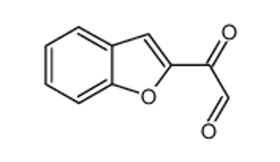 Picture of 2-(1-benzofuran-2-yl)-2-oxoacetaldehyde