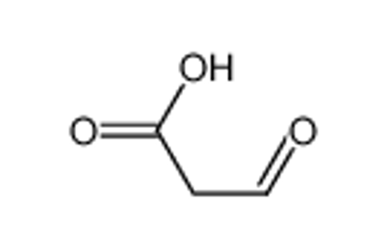 Picture of 3-oxopropanoic acid