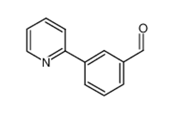 Imagem de 3-(2-Pyridyl)benzaldehyde