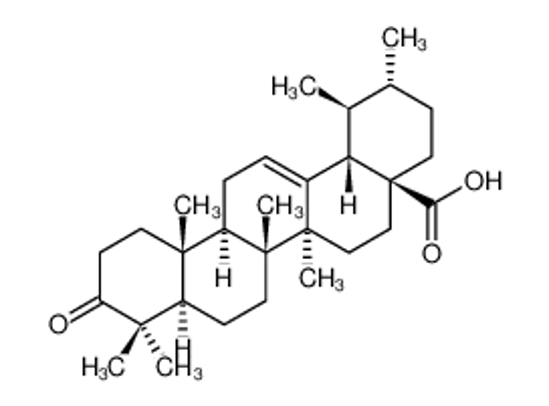 Picture of 3-Oxours-12-en-28-oic acid