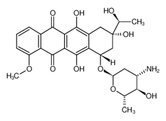 Изображение 13-dihydrodaunorubicin