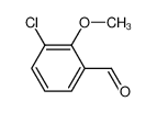 Picture of 3-CHLORO-2-METHOXYBENZALDEHYDE