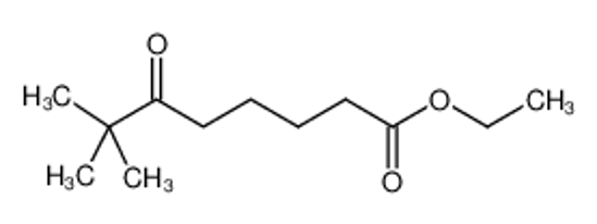 Picture of ETHYL 7,7-DIMETHYL-6-OXOOCTANOATE