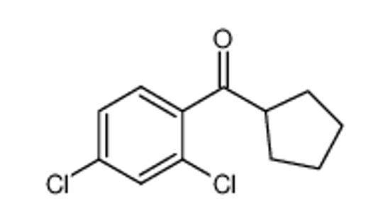 Picture of cyclopentyl-(2,4-dichlorophenyl)methanone