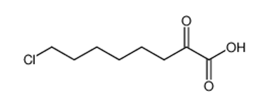Picture of 8-CHLORO-2-OXOOCTANOIC ACID