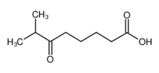 Picture of 7-METHYL-6-OXOOCTANOIC ACID