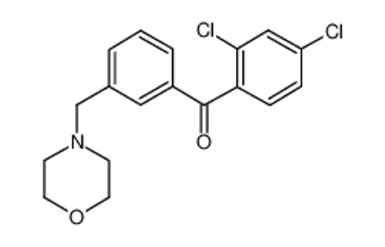 Picture of (2,4-dichlorophenyl)-[3-(morpholin-4-ylmethyl)phenyl]methanone