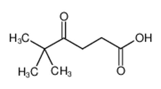 Picture of 5,5-DIMETHYL-4-OXOHEXANOIC ACID