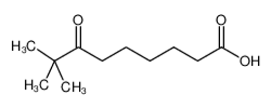 Picture of 8,8-DIMETHYL-7-OXONONANOIC ACID