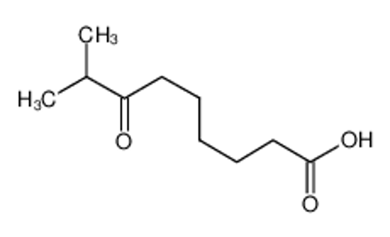 Picture of 8-METHYL-7-OXONONANOIC ACID