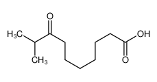 Picture of 9-METHYL-8-OXODECANOIC ACID