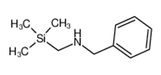 Picture of N-(Trimethylsilylmethyl)benzylamine