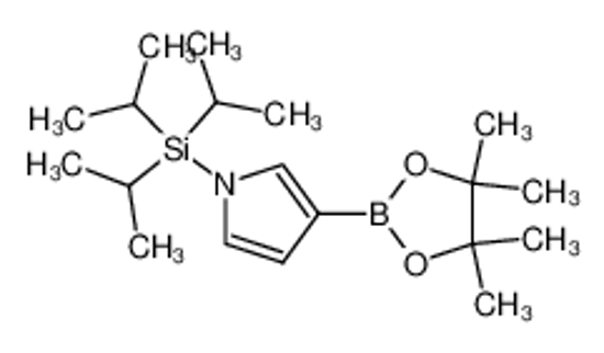 Picture of Pyrrole-3-boronic acid, pinacol ester