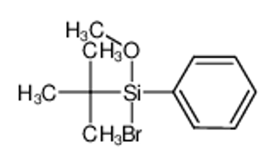 Picture of bromo-tert-butyl-methoxy-phenylsilane