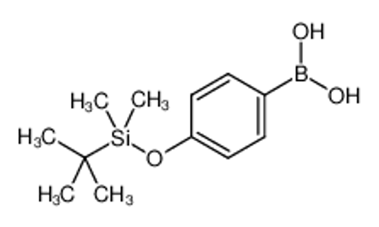 Picture of 4-(TERT-BUTYLDIMETHYLSILYLOXY)PHENYLBORONIC ACID