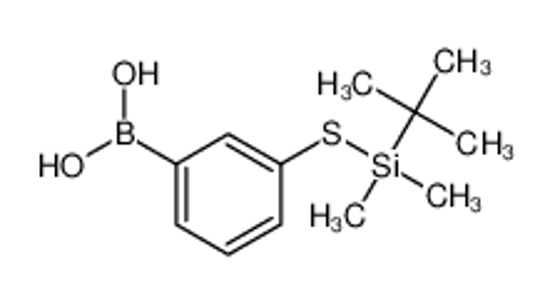 Picture of [3-[tert-butyl(dimethyl)silyl]sulfanylphenyl]boronic acid