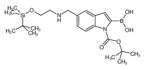 Picture of [5-[[2-[tert-butyl(dimethyl)silyl]oxyethylamino]methyl]-1-[(2-methylpropan-2-yl)oxycarbonyl]indol-2-yl]boronic acid