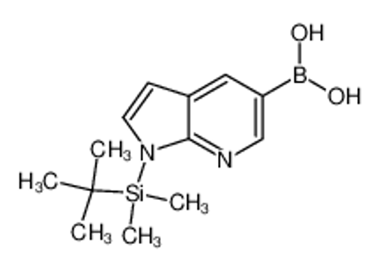 Изображение 1-(TERT-BUTYL-DIMETHYL-SILANYL)-1H-PYRROLO[2,3-B]PYRIDIN-5-YL BORONIC ACID