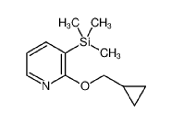 Изображение [2-(cyclopropylmethoxy)pyridin-3-yl]-trimethylsilane