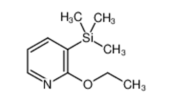 Picture of (2-ethoxypyridin-3-yl)-trimethylsilane