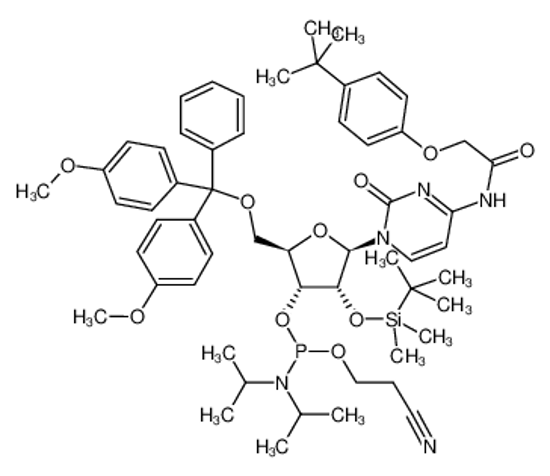 Imagem de DMT-2′O-TBDMS-rC(tac) Phosphoramidite