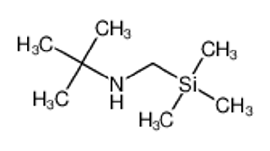 Изображение 2-methyl-N-(trimethylsilylmethyl)propan-2-amine