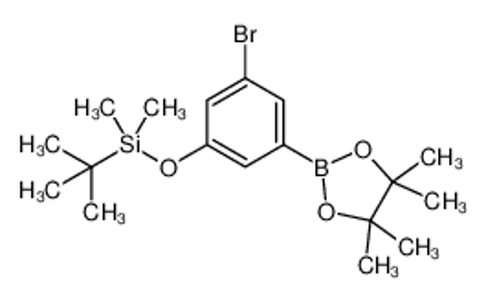 Picture of (3-Bromo-5-(4,4,5,5-tetramethyl-1,3,2-dioxaborolan-2-yl)phenoxy)(tert-butyl)dimethylsilane