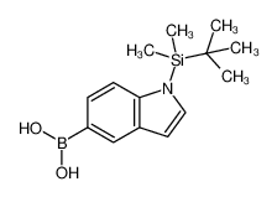 Picture of (1-(tert-Butyldimethylsilyl)-1H-indol-5-yl)boronic acid