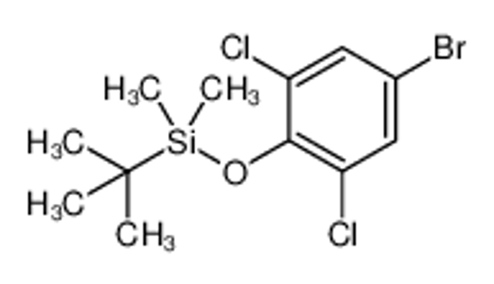 Picture of 4-Bromo-O-(t-butyldimethylsilyl)-2,6-dichlorophenol