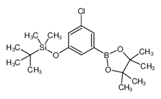 Picture of 3-Chloro-5-t-butyldimethylsilyloxyphenylboronic acid, pinacol ester
