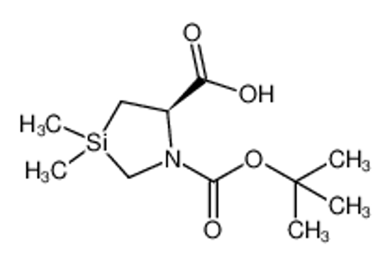 Picture of (5R)-3,3-dimethyl-1-[(2-methylpropan-2-yl)oxycarbonyl]-1,3-azasilolidine-5-carboxylic acid