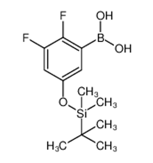 Picture of 5-(t-Butyldimethylsilyloxy)-2,3-difluorophenylboronic acid