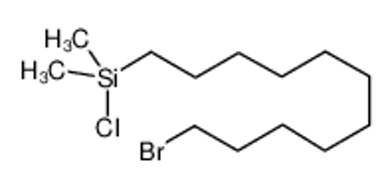Изображение 11-bromoundecyl-chloro-dimethylsilane