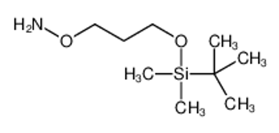Picture of O-[3-[tert-butyl(dimethyl)silyl]oxypropyl]hydroxylamine