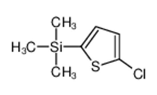 Picture of (5-Chloro-2-thienyl)(trimethyl)silane