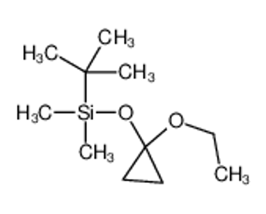 Picture of [(1-Ethoxycyclopropyl)oxy](dimethyl)(2-methyl-2-propanyl)silane