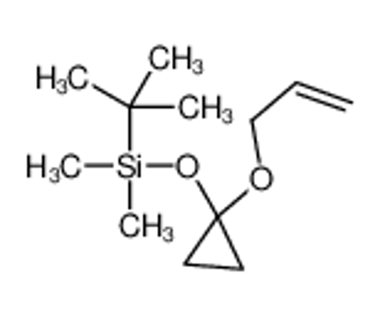 Picture of tert-butyl-dimethyl-(1-prop-2-enoxycyclopropyl)oxysilane