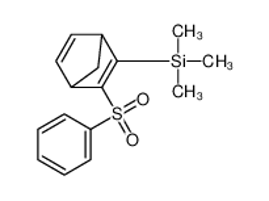 Imagem de [3-(benzenesulfonyl)-2-bicyclo[2.2.1]hepta-2,5-dienyl]-trimethylsilane
