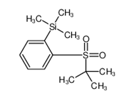 Picture of (2-tert-butylsulfonylphenyl)-trimethylsilane