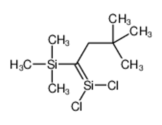 Picture of (1-dichlorosilylidene-3,3-dimethylbutyl)-trimethylsilane