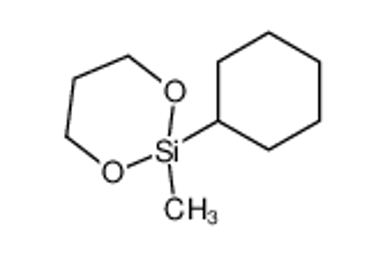 Picture of 2-cyclohexyl-2-methyl-1,3,2-dioxasilinane