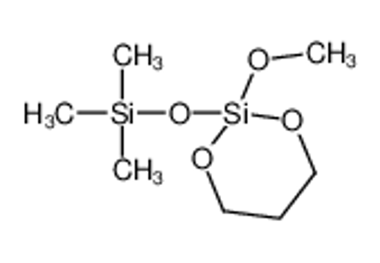 Изображение (2-methoxy-1,3,2-dioxasilinan-2-yl)oxy-trimethylsilane